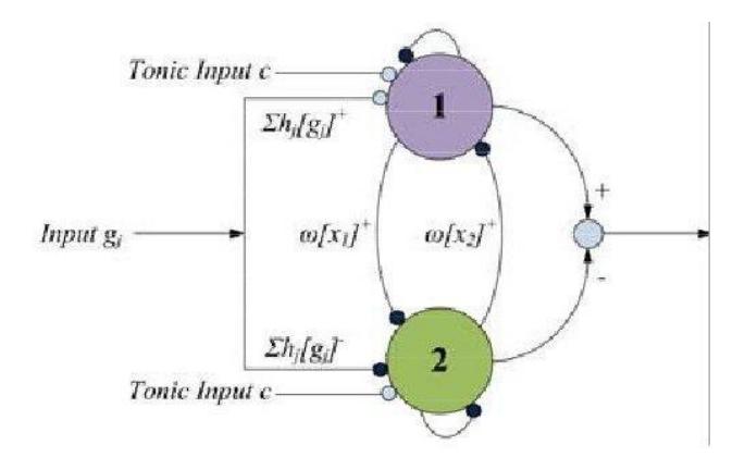Fig. 1. An individual neural oscillator