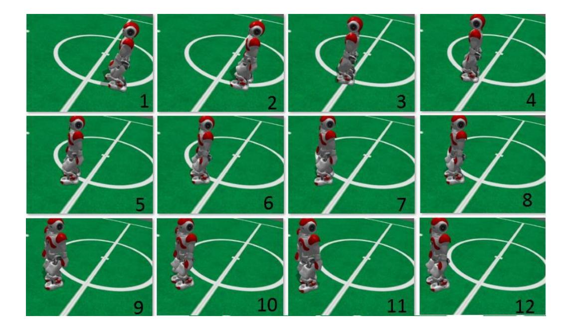 Fig7. Snapshots of our curvilinear walking