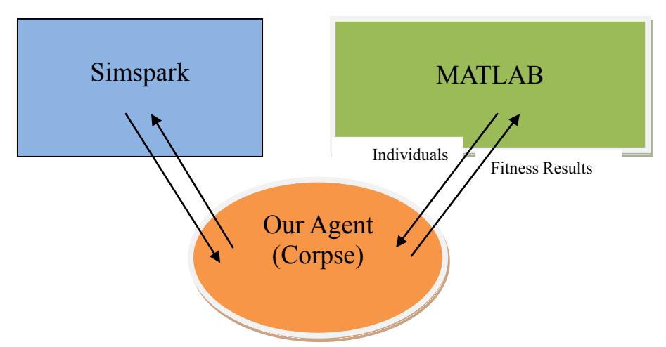 Fig 9. the relations between Simspark, Our Agent and Matlab