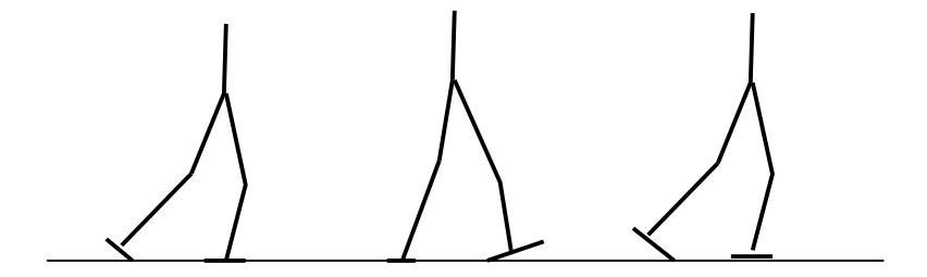 Fig. 2: The typical walking process