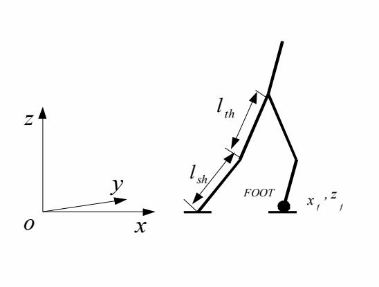 Fig. 3: The walking model about a biped robot
