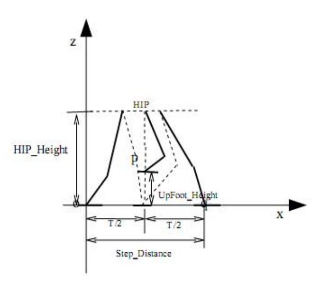 Fig. 4: The parameters of walking model about a biped robot