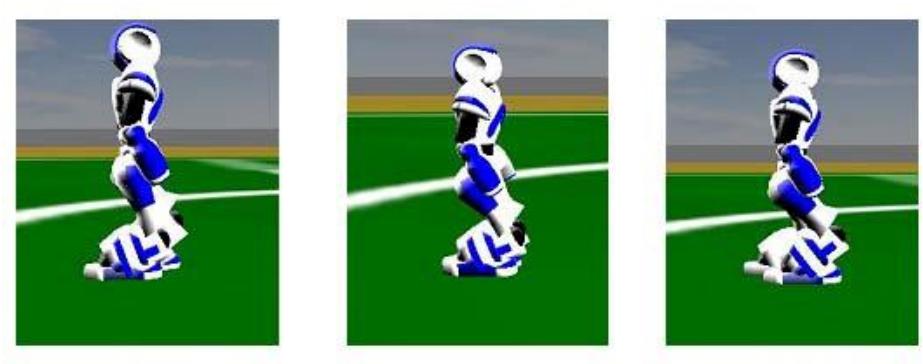 Fig. 7: The walking phases of CIT agent