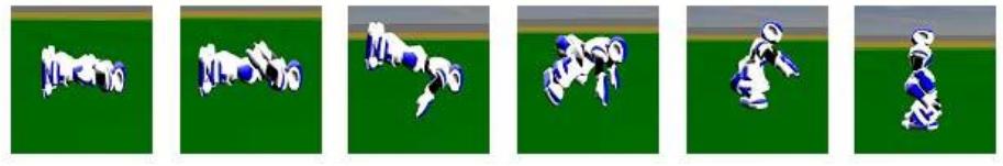 Fig. 8: The getting up action of CIT agent