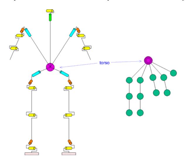 Fig 2. Joints and tree view of robot
