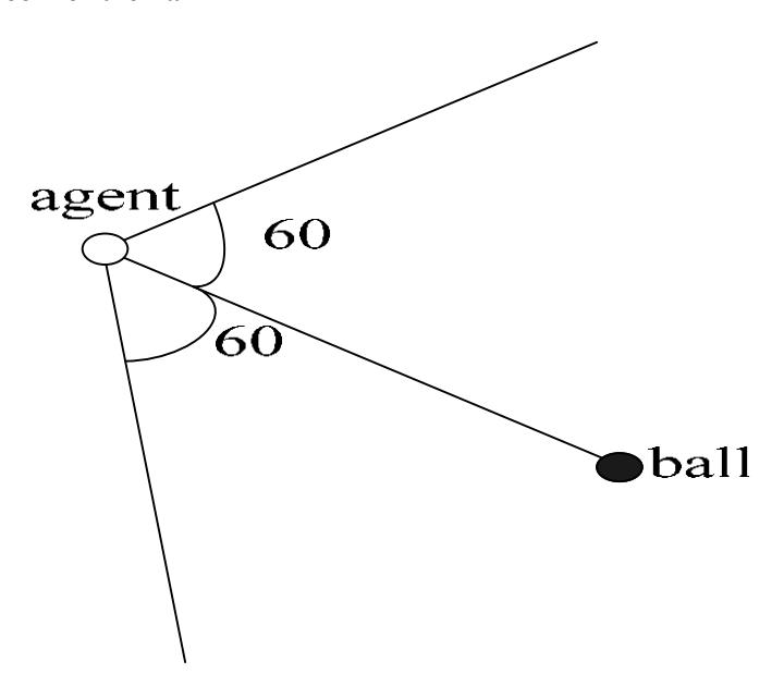 Fig. 2. Agent Vision
