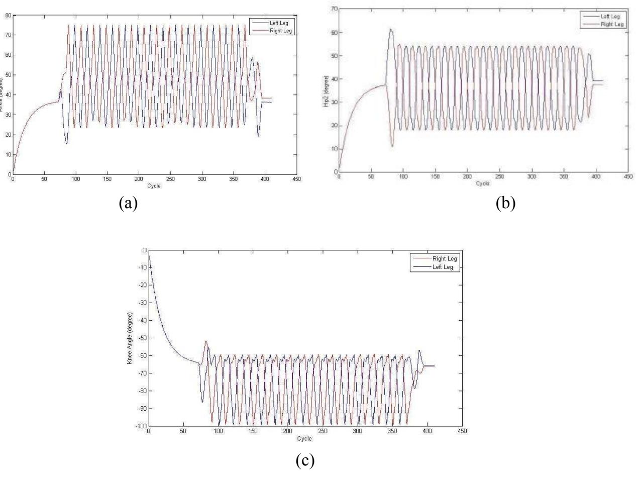 Fig.5. Analyzing joints' angle in walking, **a.** Ankle, **b.** Hip2, **c.** Knee