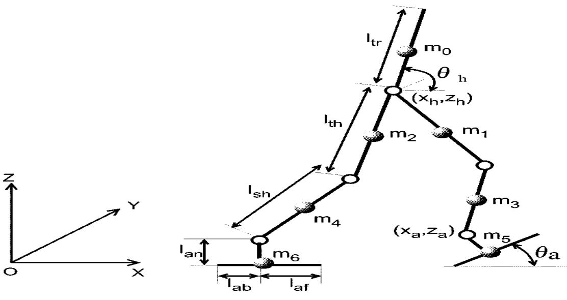 Fig.2 Model of the biped robot