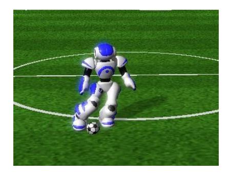 Fig. 2. Kicking to a position