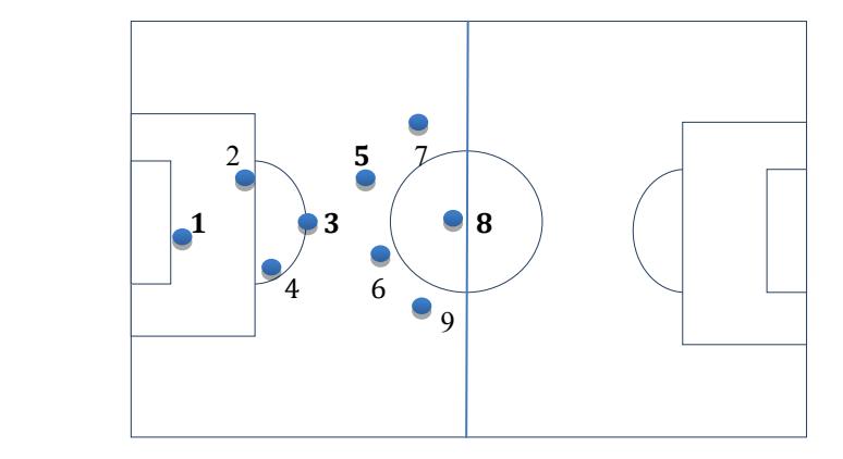 Fig. 1. Showing the arrangement of team.