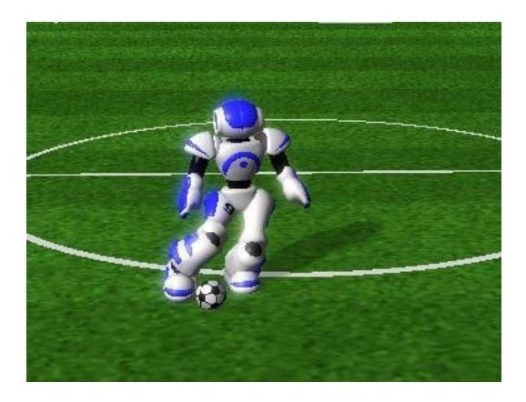 Fig. 2. Kicking to a position