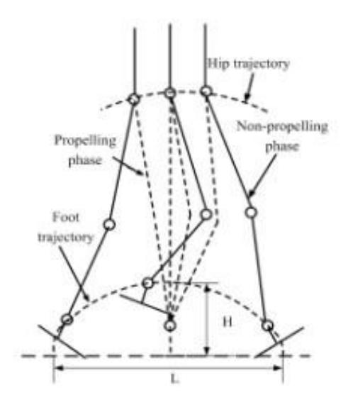 Fig. 2. Human Walk Simulation On Robot
