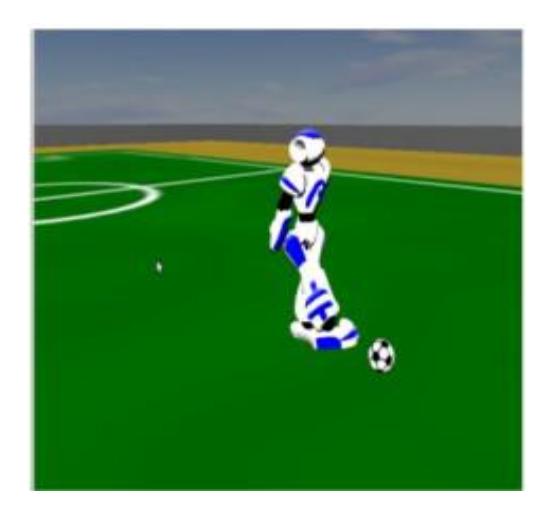 Fig. 4. After Shoot
