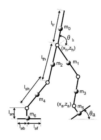 Foot trajectory diagram