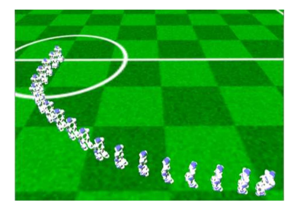 Walking cycle phases