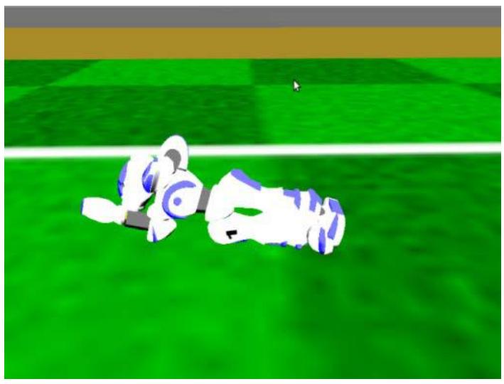 Fig. 2. Diving