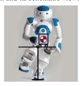 Fig. 2. Schematic view of inverted pendulum model on X direction and frontal view of the NAO robot