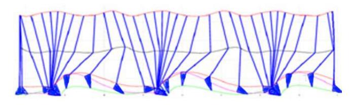 Fig 4. A planar view of a human walking