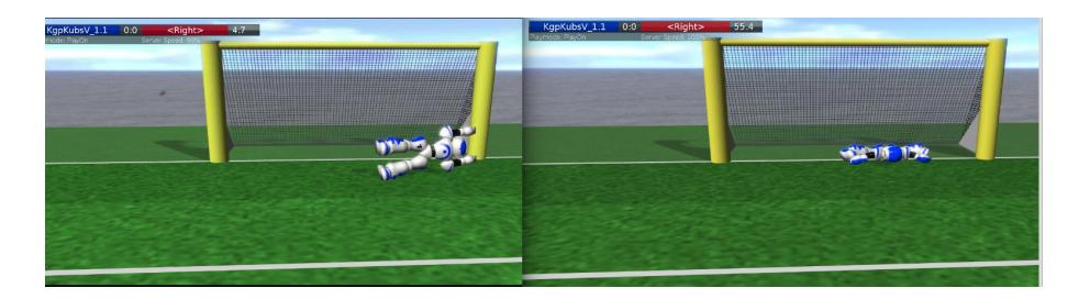 Fig. 1. Side Dive - Central Stretch
