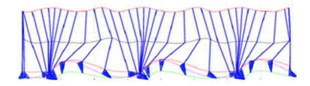 Fig 4. A planar view of a human walking