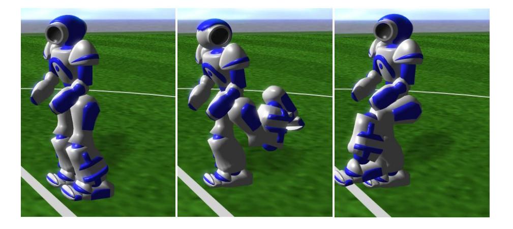 Fig. 1. kick skill