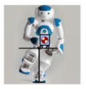 Fig. 2: Schematic view of inverted pendulum model on X direction and frontal view of the NAO robot