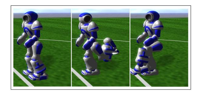Fig. 1. kick skill