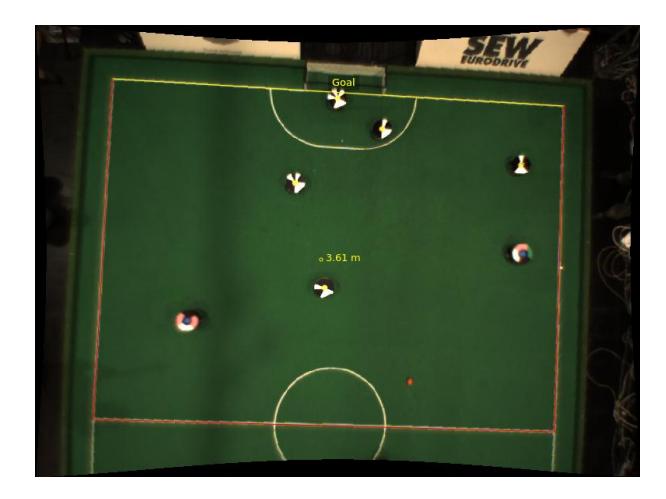Fig. 7. Distortion corrected camera image with field lines