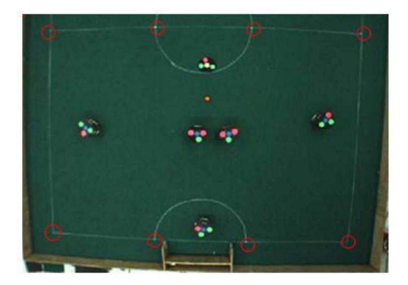 Fig. 11. Points for Calibration
