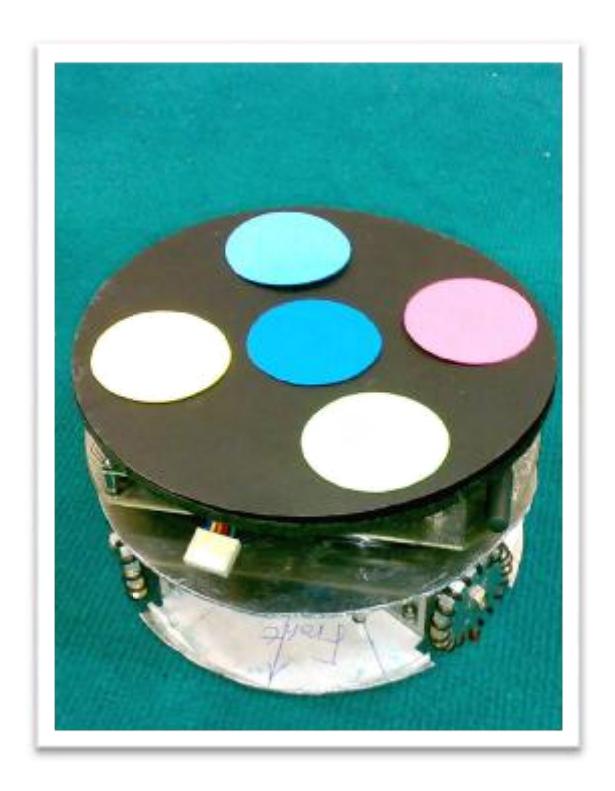 Picture 1: an archetype of KN2C robots