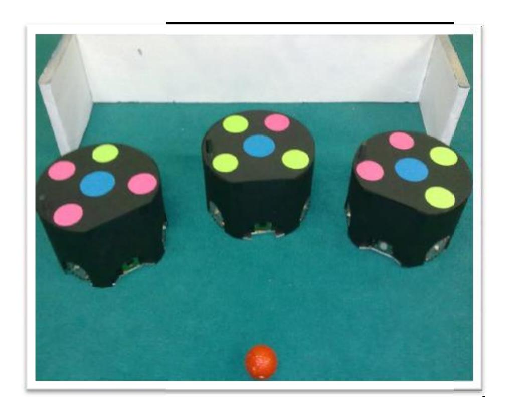 Picture 2: KN2C robots