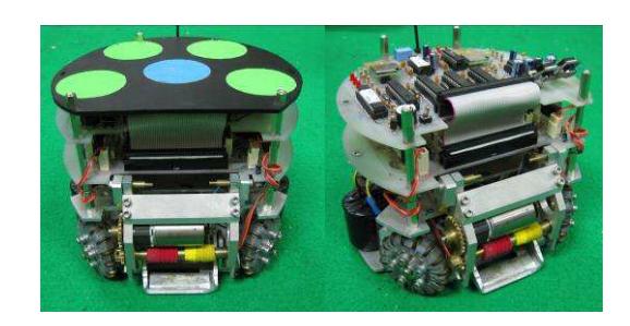 Figure 1. Khainui 2010 robots.