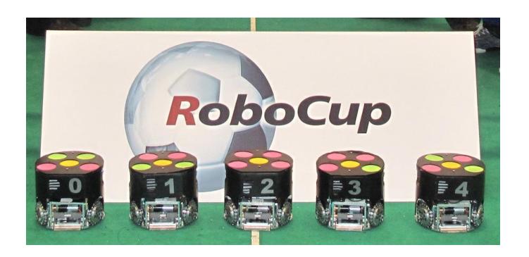 Fig. 1. Our Robots