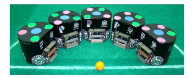 Fig. 1. Our Robots