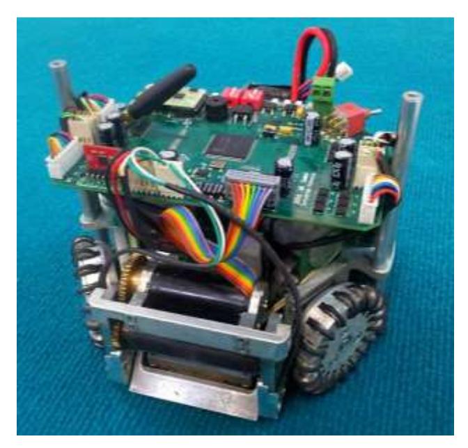 Fig. 1. Current Immortals Robots
