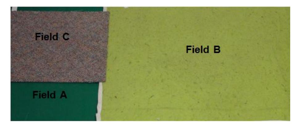 Different types of carpet used in the experiments. (A) carpet used in RoboFEI laboratory; (B) carpet used during RoboCup 2011; (C) a thicker carpet, used in office environments.