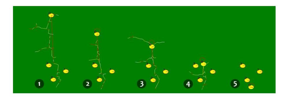 Path Planning and obstacle avoidance using RRT and KD-Tree. The numbers represents the algorithm state along the time.