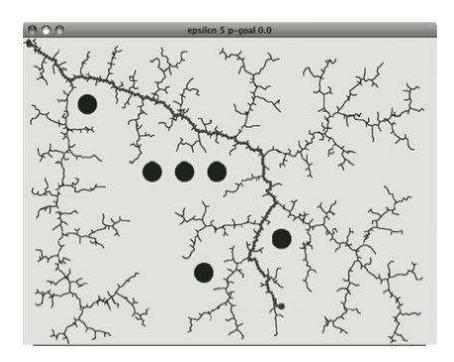 RRT Paths
