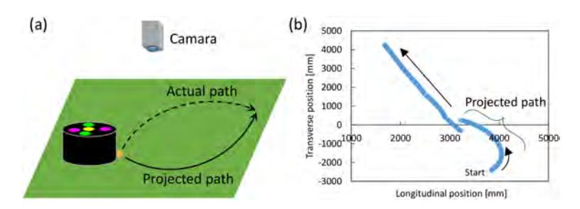 Fig. 12: Path of chipped ball. (a) Schematics of actual and projected ball path. (b) Received data from vision server.