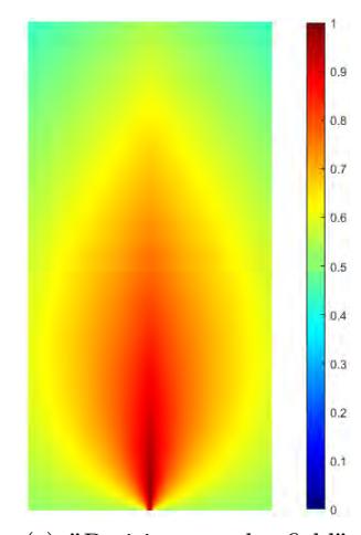 Fig. 8 (c) 