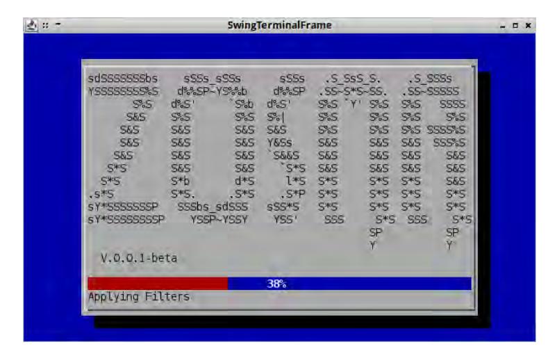 Fig. 10: zosma − torch splash screen