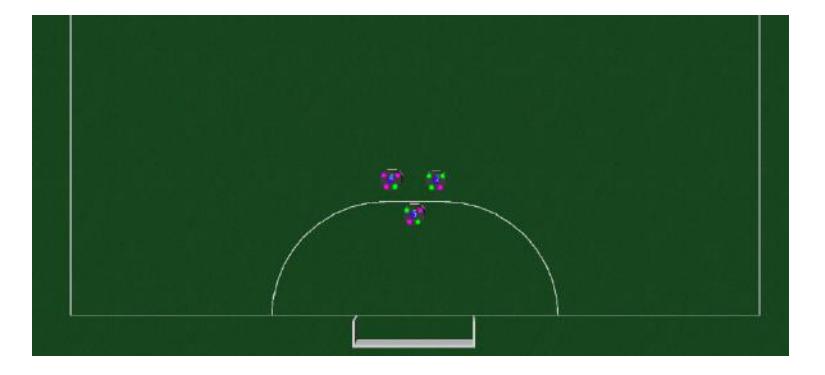 Fig. 9. The present defense formation