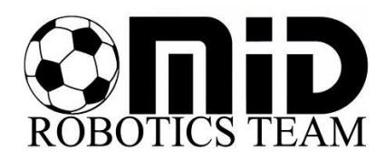 Team robot introduction
