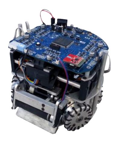 RoboFEI's Robot.