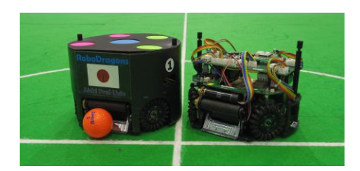 The seventh-generation RoboDragons robots