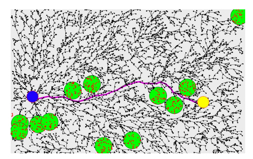 Fig. 9. Sample RRT-X tree created from goal point (blue). Path from the robot (yellow) to the goal is highlighted in pink. Obstacles are shown in green.