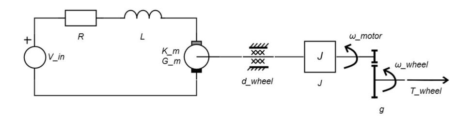 Schematic of the model