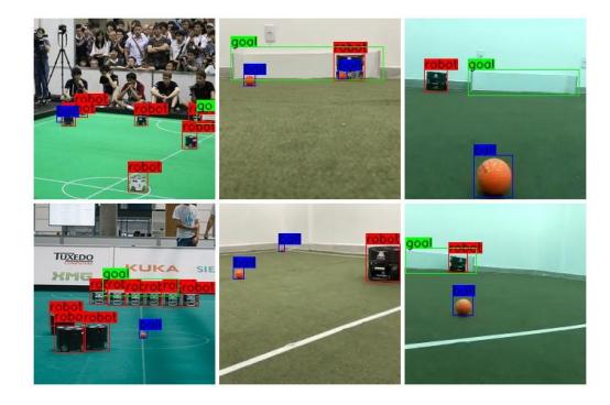 Fig. 3. Sample images from the dataset [5].
