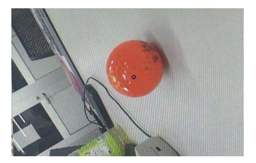 Detected Ball