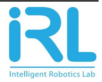 Dutch Nao Team robots in action